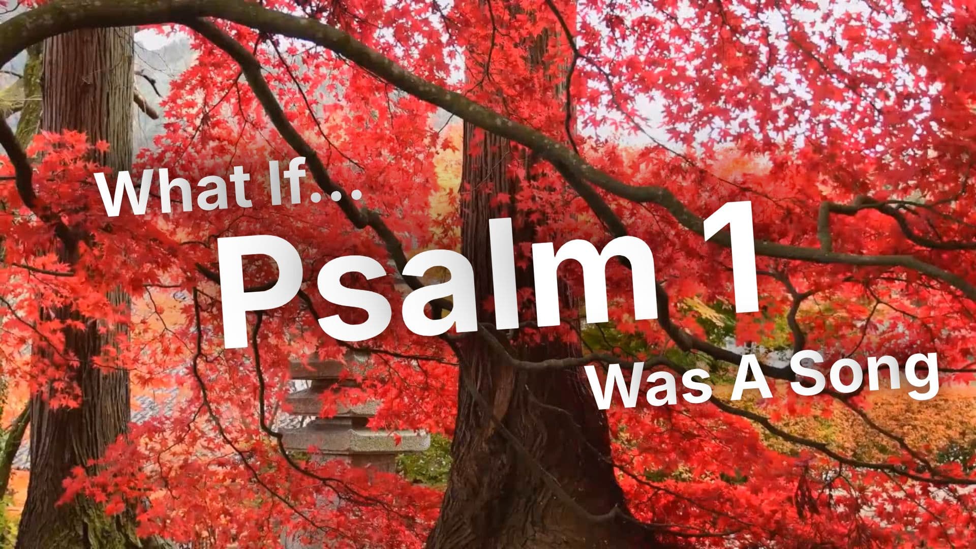 Blessed Is the Man