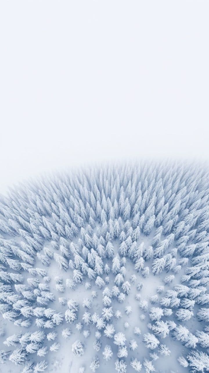 Ice Fairy's Embrace