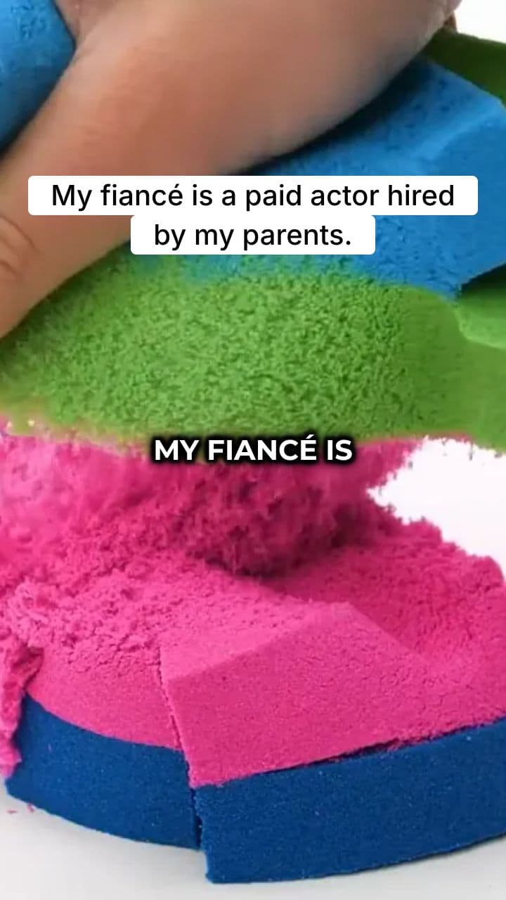 The Paid Fiancé